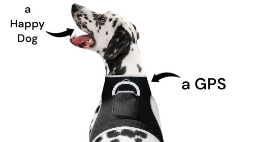 Pet Tracker Mini GPS Dog Tracking Device Made from Pet-Friendly Materials Size:XS
