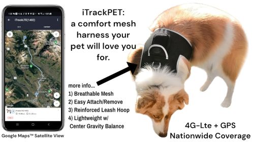 Tracking Made Easy w/ Pet Tracker Portable GPS Pet Collar Tracking Device Size:XL
