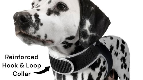Follow Your Pet All Day w/ Pet Tracker Realtime MIni GPS Tracker  Size:XS