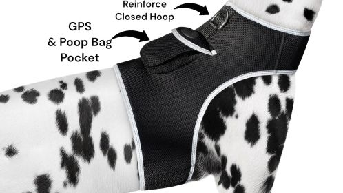 All New Realtime GPS Tracking for Pets Waterproof Rechargeable Tracker Size:XS
