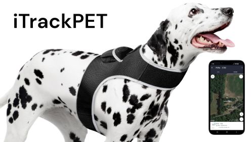 Follow Your Pet All Day w/ Pet Tracker Realtime MIni GPS Tracker  Size:XXL
