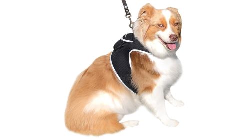 Tracking Made Easy w/ Pet Tracker Portable GPS Pet Collar Tracking Device Size:XXL