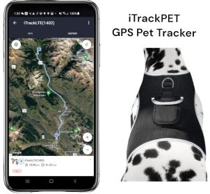Well-Made Waterproof Pet Tracking Collar Portable Wireless GPS Tracker Size:XXL