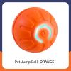 Self-Rolling Dog Ball, Automatic Bouncing Ball for Dogs, Puppy Essentials, Vibrating Dog Ball, Dog Birthday, Interactive Dog Toys