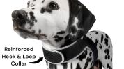All New Realtime GPS Tracking for Pets Waterproof Rechargeable Tracker Size:XS
