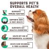 Natural Dog Allergy Chews with Omega Probiotics, Apple Cider Vinegar Dog Allergy Relief Supplement, Helps with Hot Spots, Itchy Skin