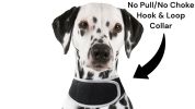Follow Your Pet All Day w/ Pet Tracker Realtime MIni GPS Tracker  Size:XS
