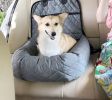 Pet Life 'Pawtrol' Dual Converting Travel Safety Car Seat and Pet Bed