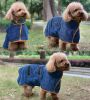 Dog Drying Towel, Microfiber Material, Quick-Drying, Super Absorbent